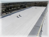 Single Ply Roof Restoration